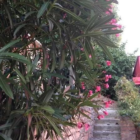 Casa Rossa Сasa de vacaciones Santa Maria Della Valle
